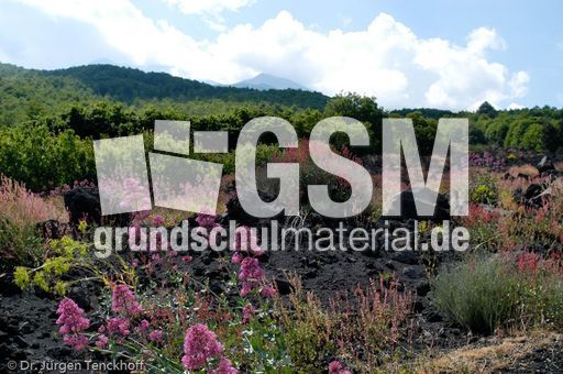 Sizilien (457 von 565).jpg